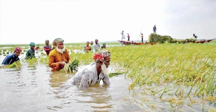 শ্রম খাতসহ শ্রমিকের অধিকার নিশ্চিতকরণে একসাথে কাজ করার আগ্রহ যুক্তরাষ্ট্রের