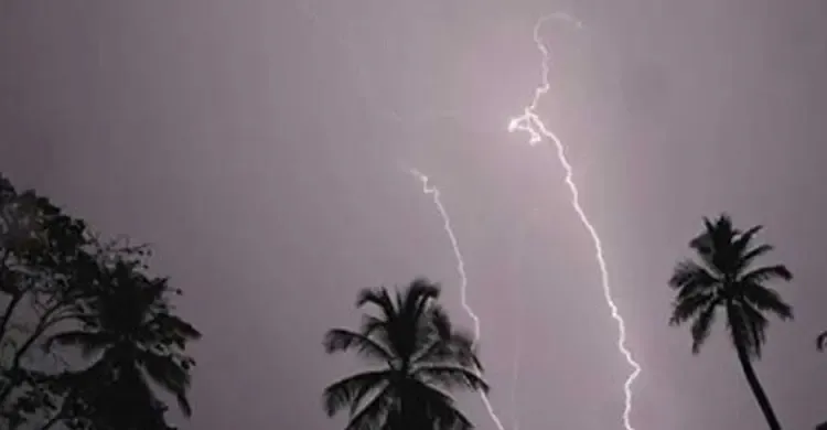 ছবিঃ সংগৃহীত