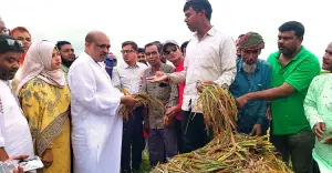 নিকলীর হাওর পরিদর্শনে এমপি ইকবাল, সহায়তার আশ্বাস