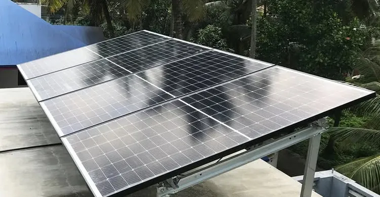 ছবিঃ সংগৃহীত