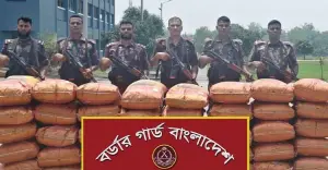 হবিগঞ্জে বিজিবির অভিযানে বিপুল পরিমাণ ভারতীয় জিরা জব্দ