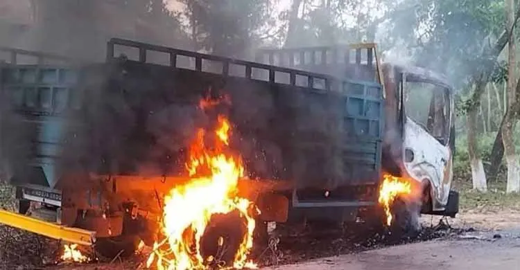 ছবিঃ সংগৃহীত