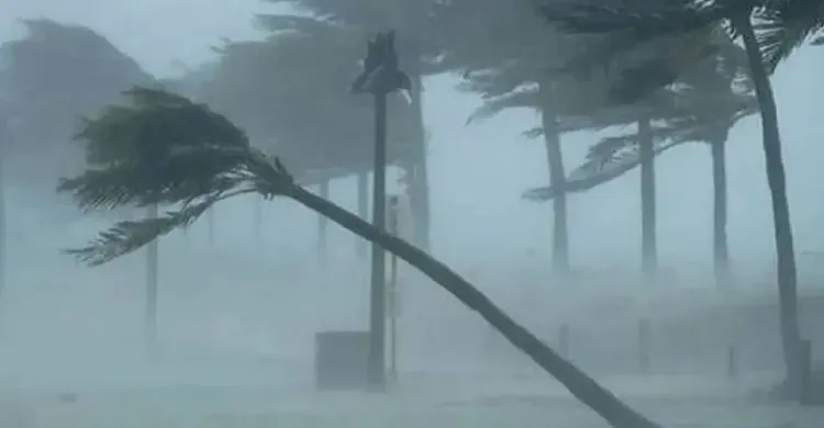 ছবিঃ সংগৃহীত