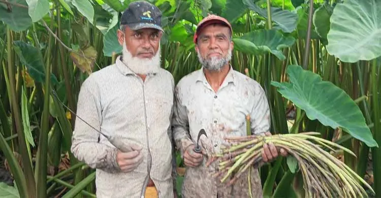 ছবিঃ সংগৃহীত