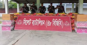 সিলেট সীমান্তে ৮৪ লাখ টাকার চোরাচালানী মালামাল আটক