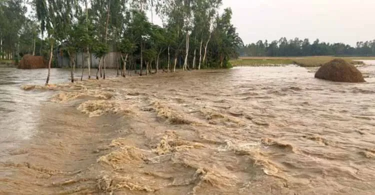 চেল্লাখালী নদীর বাঁধ ভেঙে নিম্নাঞ্চলে ঢুকছে পাহাড়ি ঢলের পানি