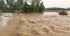 চেল্লাখালী নদীর বাঁধ ভেঙে নিম্নাঞ্চলে ঢুকছে পাহাড়ি ঢলের পানি