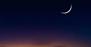 তিউনিসিয়া ও তুরস্কে ঈদুল আজহার তারিখ ঘোষণা