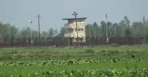 ভারতীয় চোরাকারবারিদের লক্ষ্য করে বিজিবির ফাঁকা গুলি