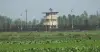 ভারতীয় চোরাকারবারিদের লক্ষ্য করে বিজিবির ফাঁকা গুলি