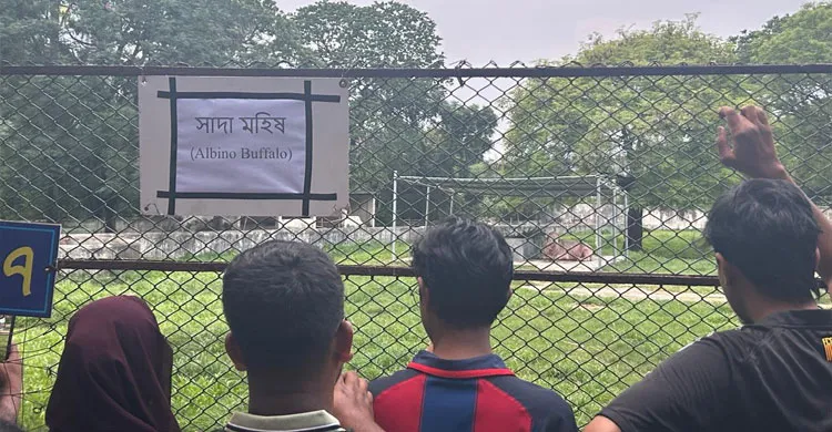জাতীয় চিড়িয়াখানায় ‘ডোনাল্ড ট্রাম্প’ দেখতে দর্শনার্থীদের উপচে পড়া ভিড়
