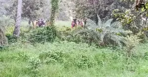 চাঁপাইনবাবগঞ্জ সীমান্তে ২৮ জনকে পুশইনের চেষ্টা