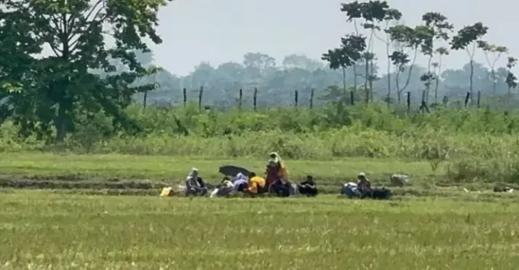 পুশইন প্রতিরোধে কঠোর অবস্থানে বিজিবি: গত ২৪ ঘণ্টায় আরও ০৮টি পুশইন অপচেষ্টা প্রতিহত
