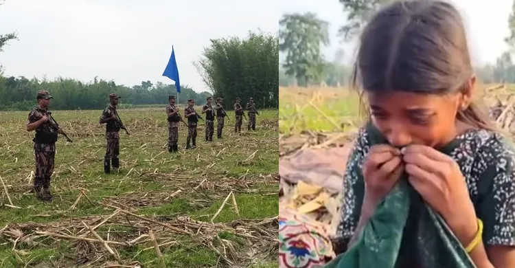 ছবিঃ সংগৃহীত