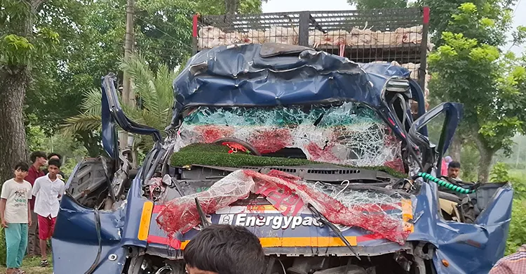 ছবিঃ সংগৃহীত