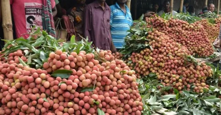 টুঙ্গিপাড়ায় মৌসুমী ফলের সমারোহ, জমে উঠেছে হাট-বাজার