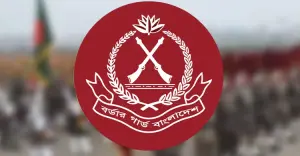 বিজিবির অভিযানে ১৭৭ কোটি টাকার চোরাচালান পণ্য জব্দ, উদ্ধার ১৬ লাখ ইয়াবা