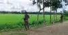 দিল্লিতে পুশ-ইন নিয়ে কড়া আপত্তি ঢাকার, বিজিবির দাবি ২০২৬ সালে একজনও ঢুকতে পারেনি