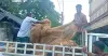 কুলাউড়ায় হাকালুকি হাওরে ১৪ জেলেকে জরিমানা, বিপুল পরিমাণ অবৈধ জাল-চাই জব্দ