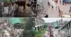 উত্তরা মেট্রোস্টেশনের নিচে পশুর হাট: ৩০ লাখ টাকার ক্ষতি