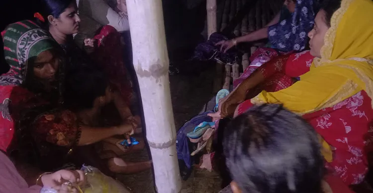 চাঁপাইনবাবগঞ্জ সীমান্তে ১৫ জনকে পুশ-ইনের চেষ্টা, প্রতিহত করল বিজিবি