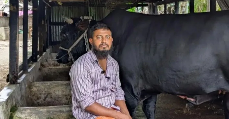 খালেদা জিয়াকে ‘কালো মানিক’ উপহার দিতে চাওয়া সেই সোহাগ আবার আলোচনায়: মারামারি ও পর্নোগ্রাফি মামলায় জেলে
