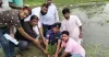 উলিপুরে অরণ্যের উদ্যোগে তিন হাজার তালের চারা রোপণ, সবুজায়নে নতুন বার্তা