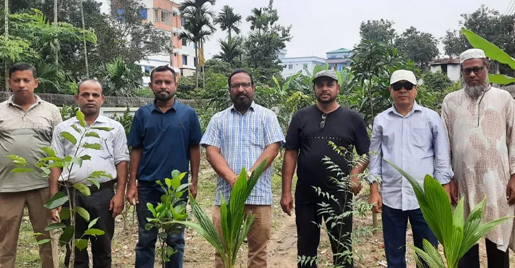 আশা’র উদ্যোগে সিলেটজুড়ে বৃক্ষরোপণ অভিযান