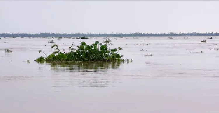 ছবিঃ সংগৃহীত