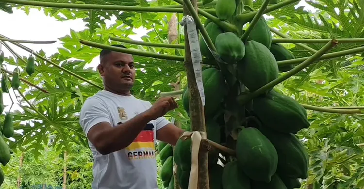 ইউটিউব দেখে সমন্বিত চাষে সফল তরুণ কৃষি উদ্যোক্তা সুমন, বছরে আয় ১৫ লক্ষ টাকা
