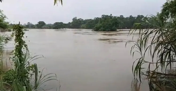টানা বৃষ্টি ও পাহাড়ি ঢলে বন্যার শঙ্কা, নদীতীরের মানুষকে সর্বোচ্চ সতর্ক থাকার আহ্বান