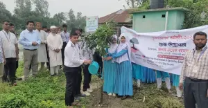 সিংড়ায় জোড়মল্লিকা-নিংগইন উচ্চ বিদ্যালয়ে বৃক্ষরোপণ কর্মসূচি পালিত
