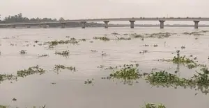 উজানের ঢল আর টানা বৃষ্টিতে কুড়িগ্রামে বন্যার শঙ্কা, নিরাপদ আশ্রয়ের প্রস্তুতির আহ্বান