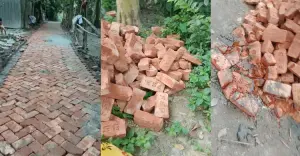 কাপাসিয়ায় ইউপি সদস্যের বিরুদ্ধে নিম্নমানের ইট দিয়ে রাস্তা নির্মাণের অভিযোগ