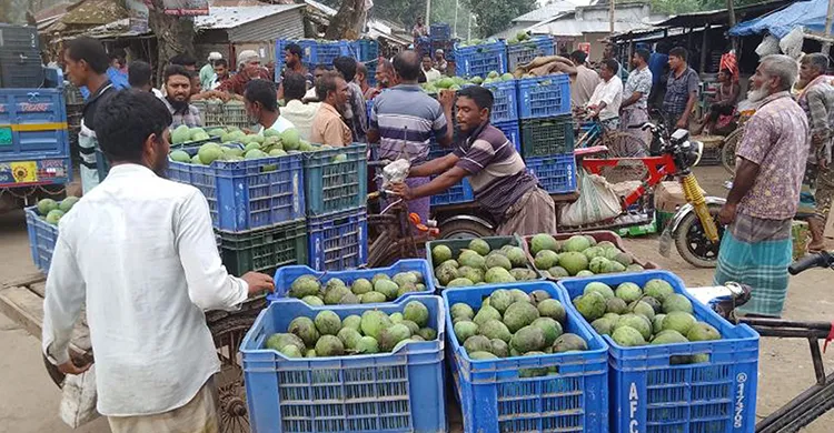 ছবিঃ সংগৃহীত