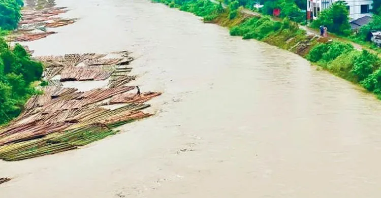 ছবিঃ সংগৃহীত