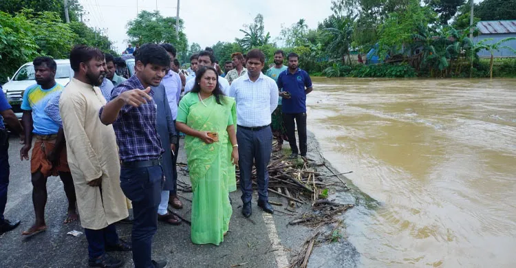 চেল্লাখালি নদীর মোহনা পরিদর্শনে শেরপুরের জেলা প্রশাসক, নদীভাঙন রোধে নির্দেশ