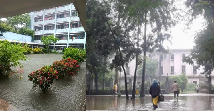 ছবিঃ সংগৃহীত