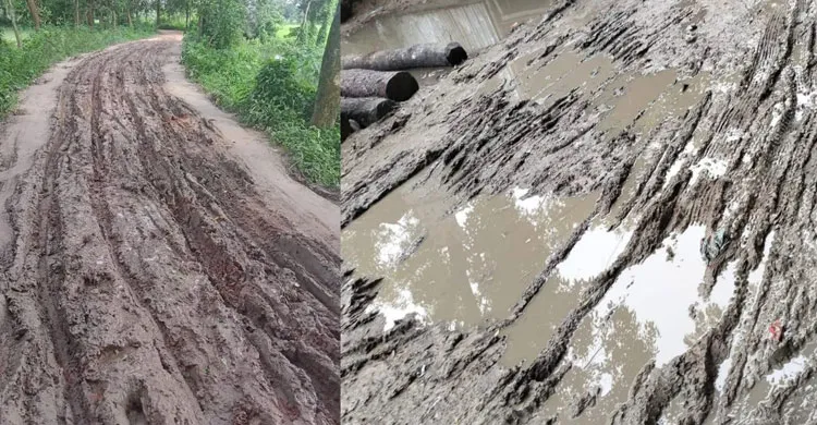 স্বাধীনতার পরও উন্নয়নের ছোঁয়া লাগেনি, ৭০ বছর ধরে কাঁচা মোহনপুর-তালতলা সড়ক