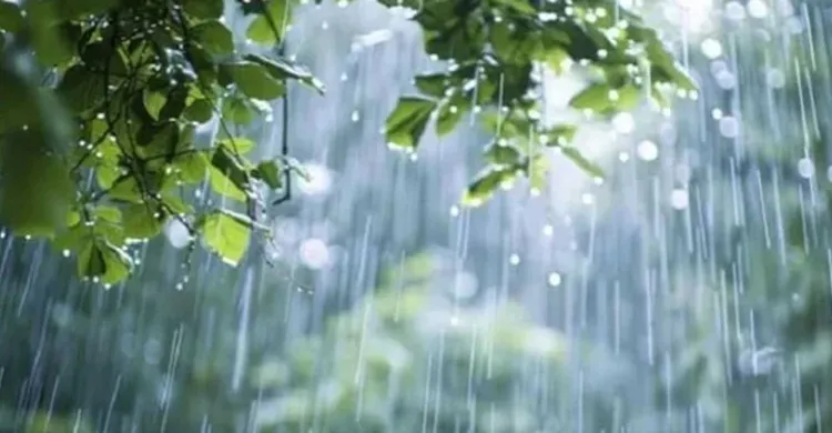 আজ থেকে বাড়তে পারে বৃষ্টি