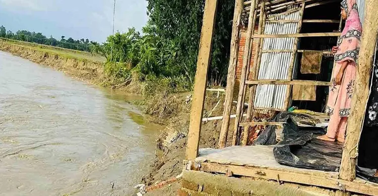 ছবিঃ সংগৃহীত