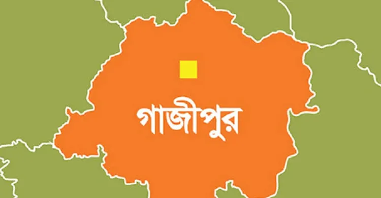 কাপাসিয়ায় নব যোগদানকৃত ইউএনও'র সাথে উপজেলা বিএনপির মতবিনিময়