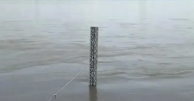 ছবিঃ সংগৃহীত