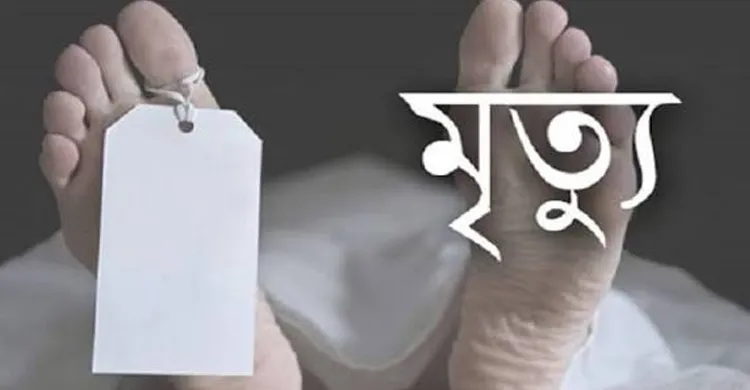 ছবিঃ সংগৃহীত