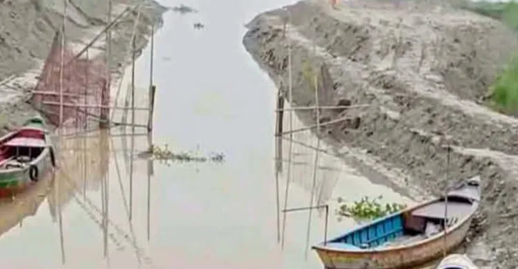 ছবিঃ সংগৃহীত