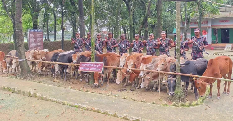 ছবিঃ সংগৃহীত
