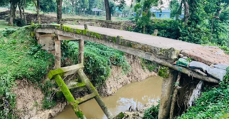 ছবিঃ সংগৃহীত