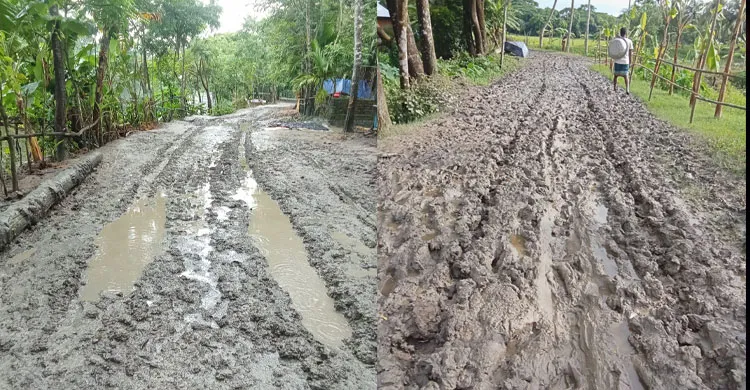 আশ্বাসেই সীমাবদ্ধ উন্নয়ন: গলাচিপায় কাঁচা সড়কে বন্দি শিক্ষার্থীদের ভবিষ্যৎ