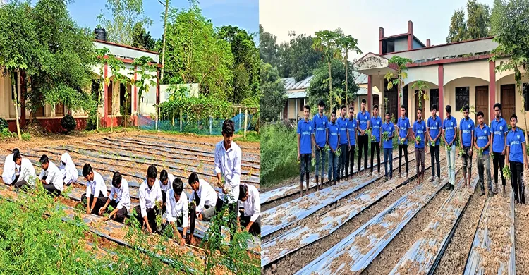 টাঙ্গাইলের মহিষমারা কলেজে খুন্তি-কোদালে তরুণদের নতুন বিপ্লব!