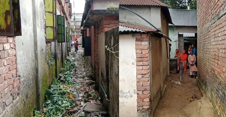 ছবিঃ সংগৃহীত